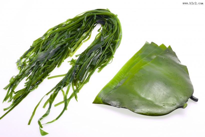 新鲜又营养适合各种做法的海带图片