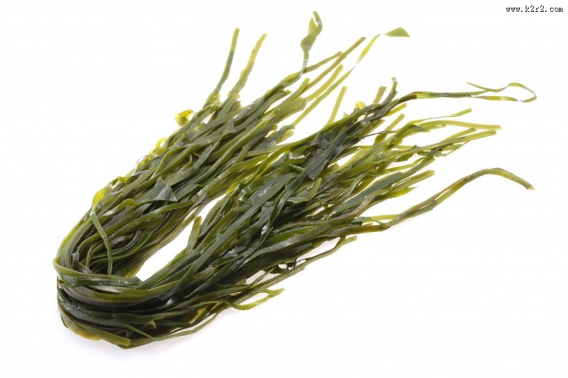 新鲜又营养适合各种做法的海带图片