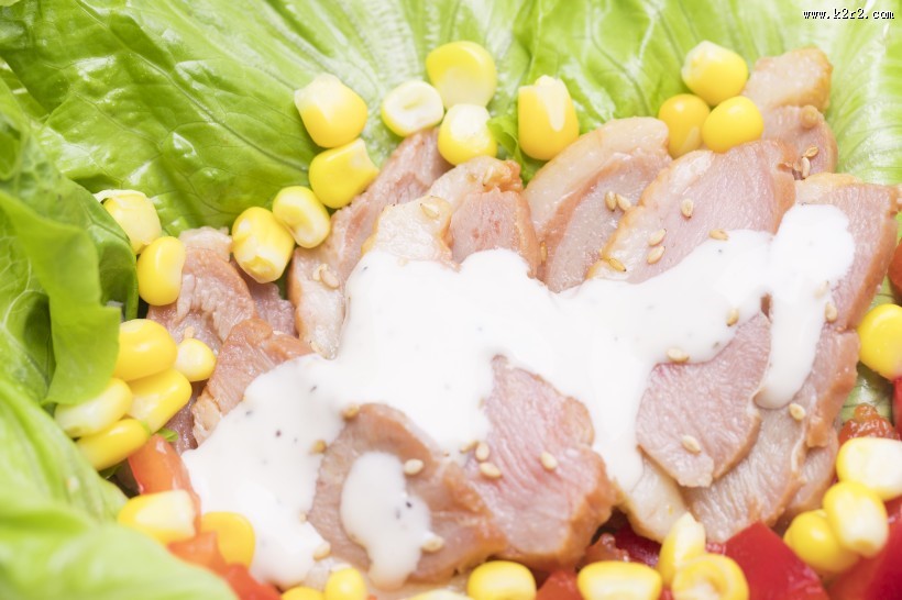 美味好吃的鸭胸肉蔬菜沙拉图片