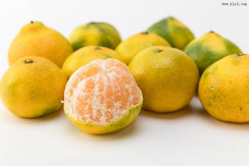 美味的橘子图片