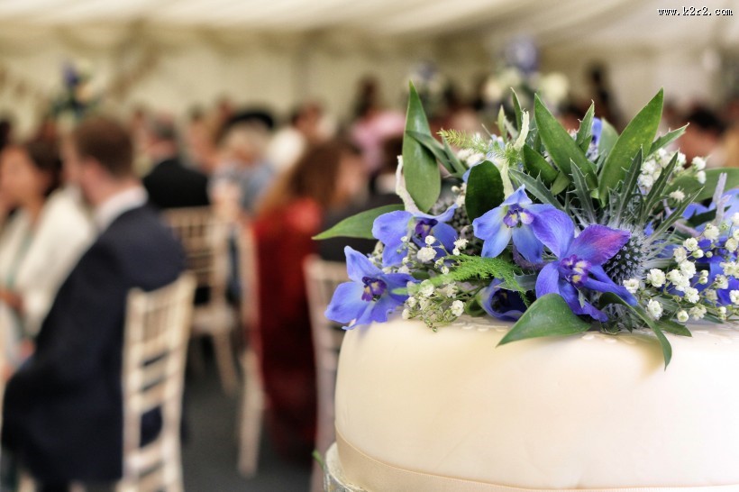 软糯的蛋糕图片