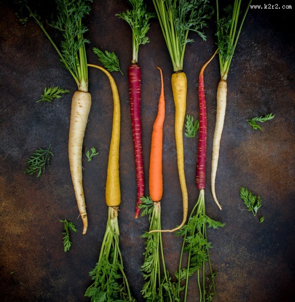 有营养的胡萝卜图片