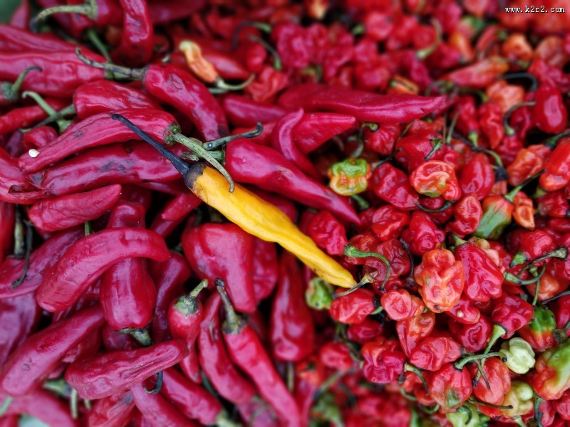 火辣的辣椒图片