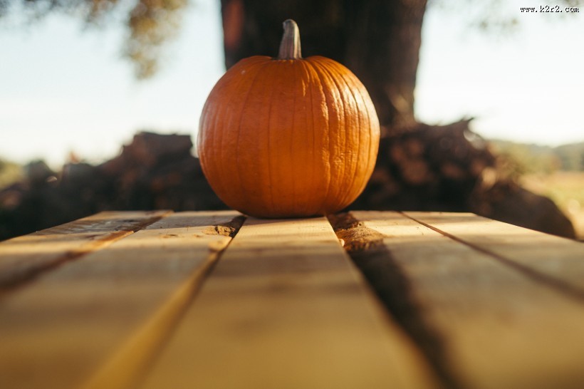 香甜的南瓜图片大全