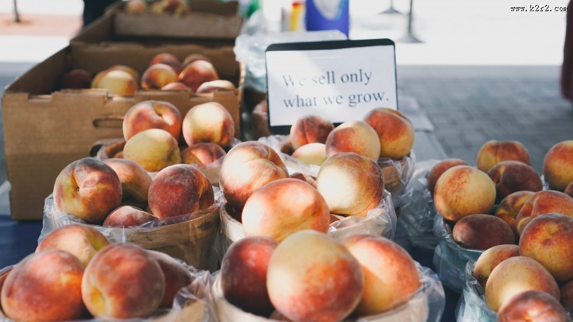 新鲜的桃子图片