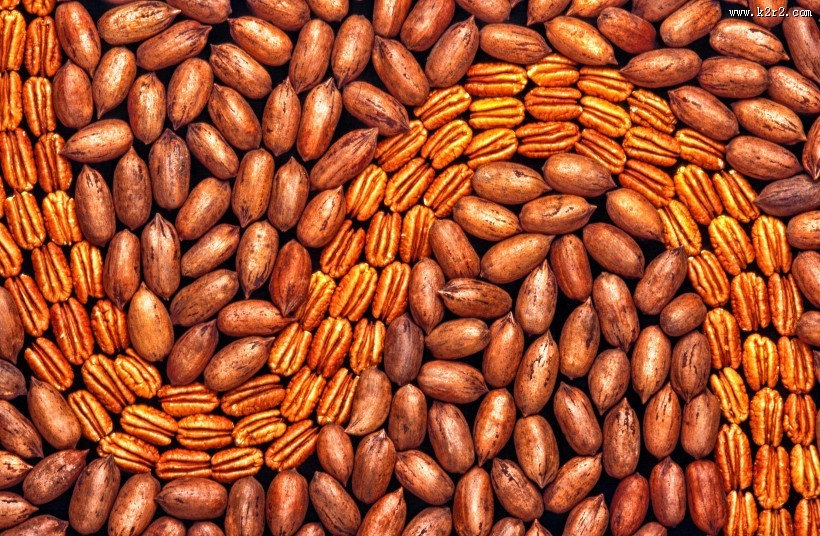 坚果零食碧根果图片大全