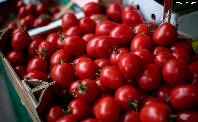 酸甜美味的车厘子图片