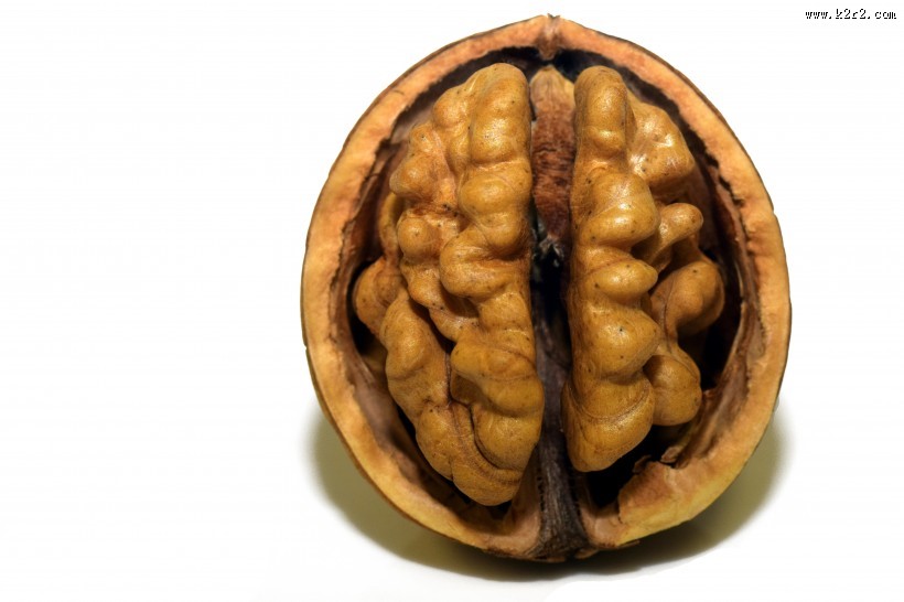 营养丰富的核桃图片大全