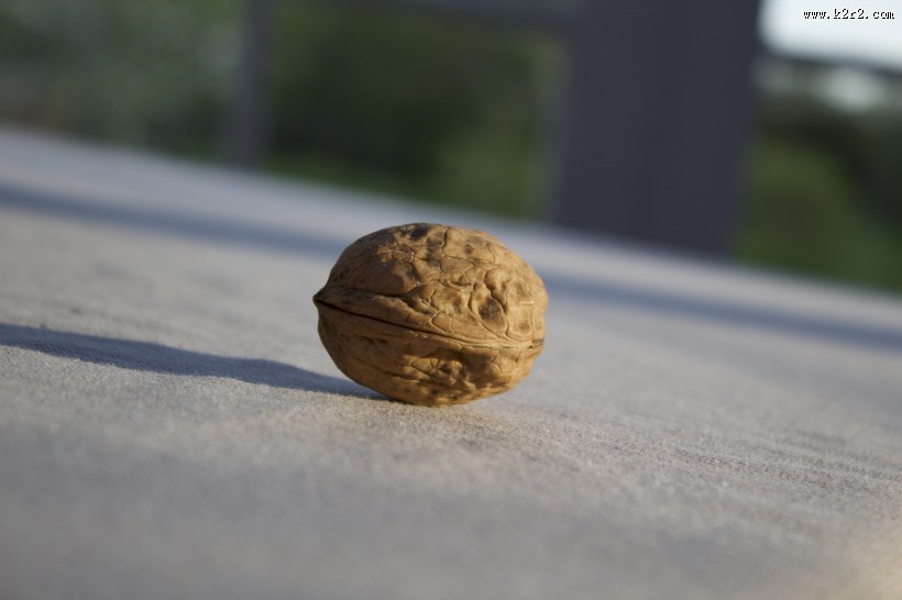 营养丰富的核桃图片大全