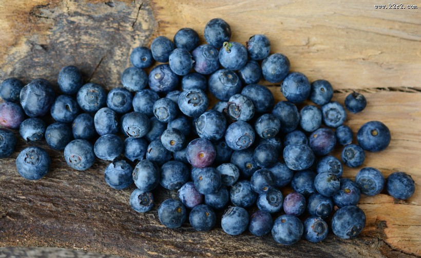 清香可口的蓝莓图片大全