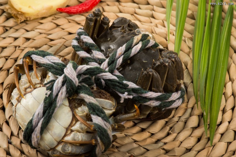 新鲜营养的大闸蟹图片