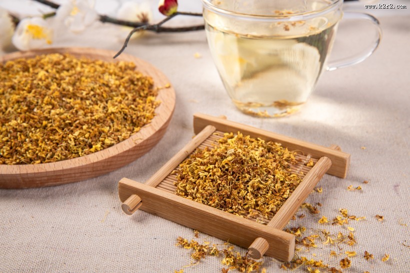 金灿灿香喷喷的桂花图片