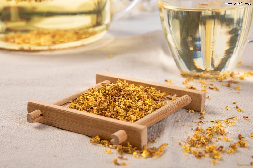 金灿灿香喷喷的桂花图片