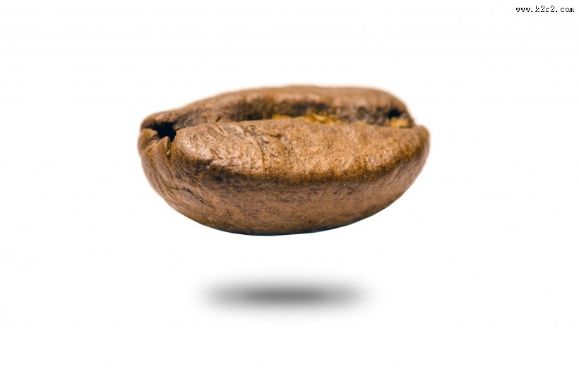 白色背景的咖啡豆图片