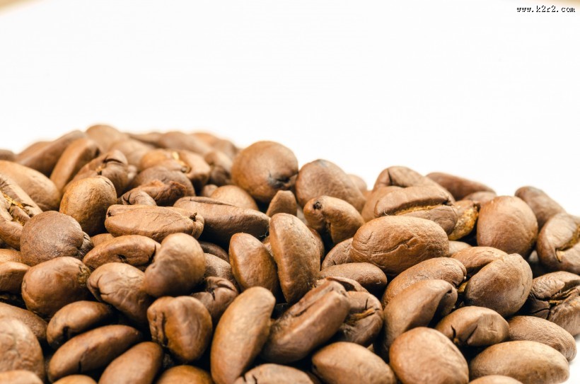 白色背景的咖啡豆图片