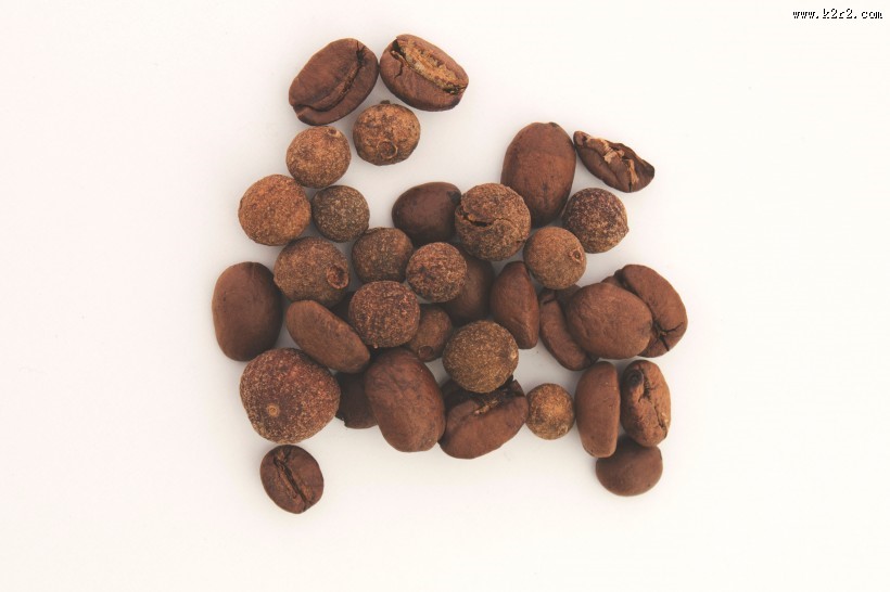 白色背景的咖啡豆图片