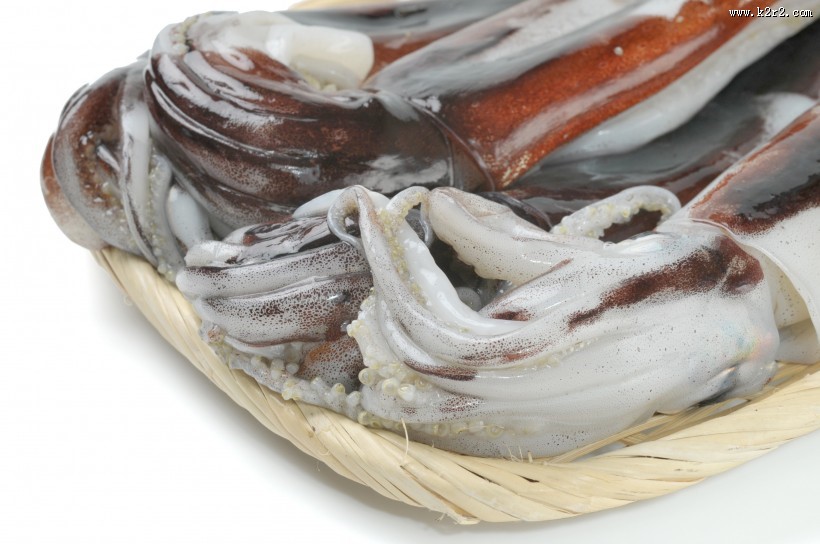 新鲜的乌贼海鲜图片大全