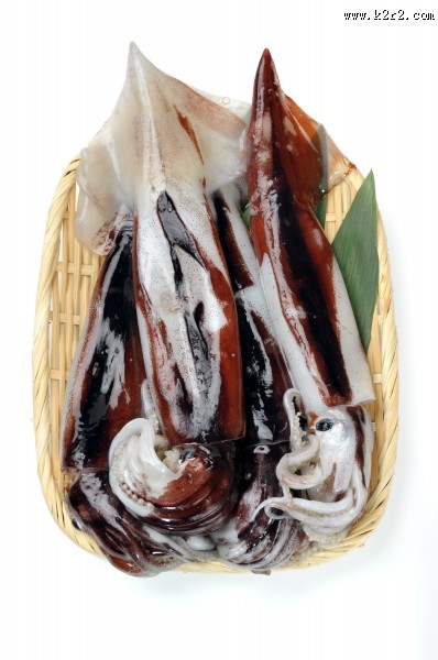 新鲜的乌贼海鲜图片大全