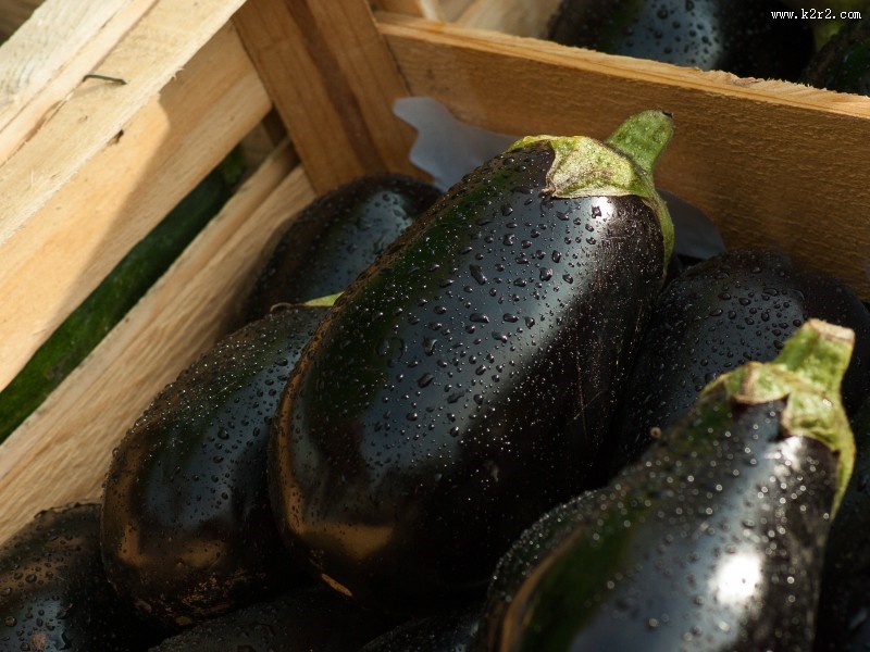 营养丰富的茄子图片大全