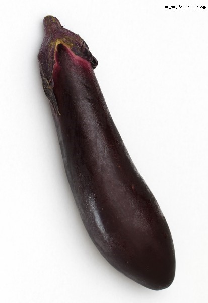 营养丰富的茄子图片大全