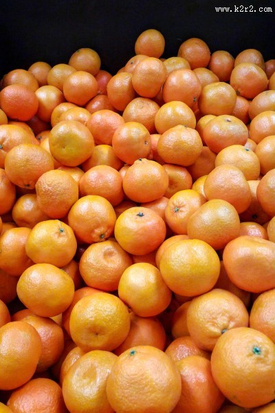 新鲜美味的橘子图片