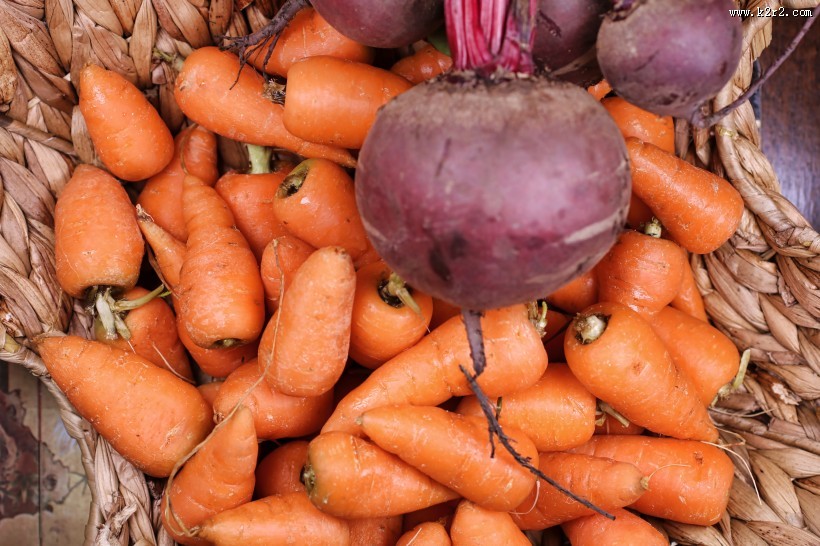 红彤彤的胡萝卜图片