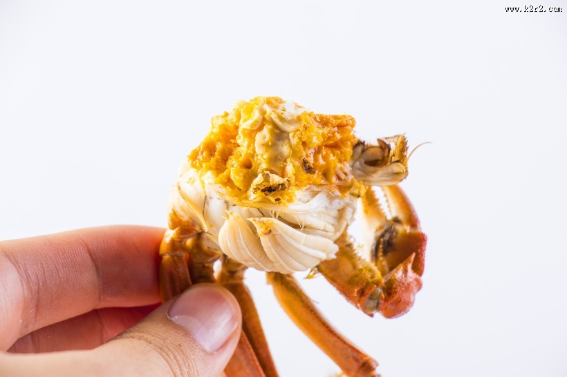 肥嫩鲜美的大闸蟹图片