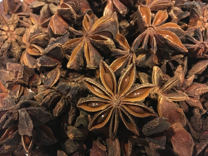 八角香料图片大全