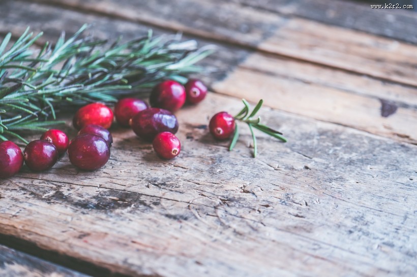 蔓越莓图片大全