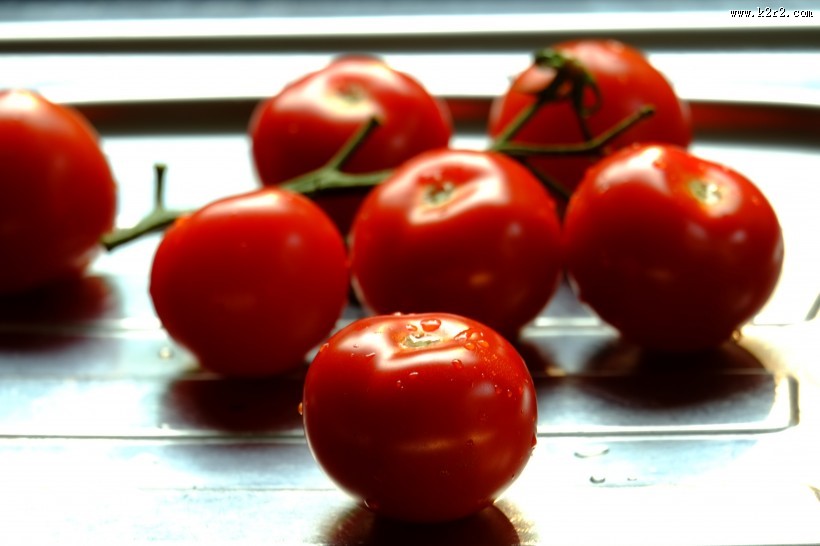鲜红的西红柿图片大全