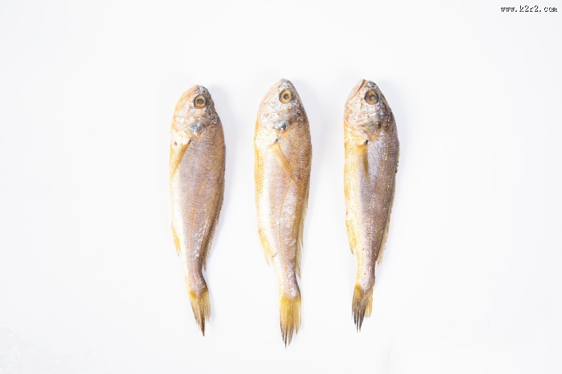 营养小黄鱼图片大全