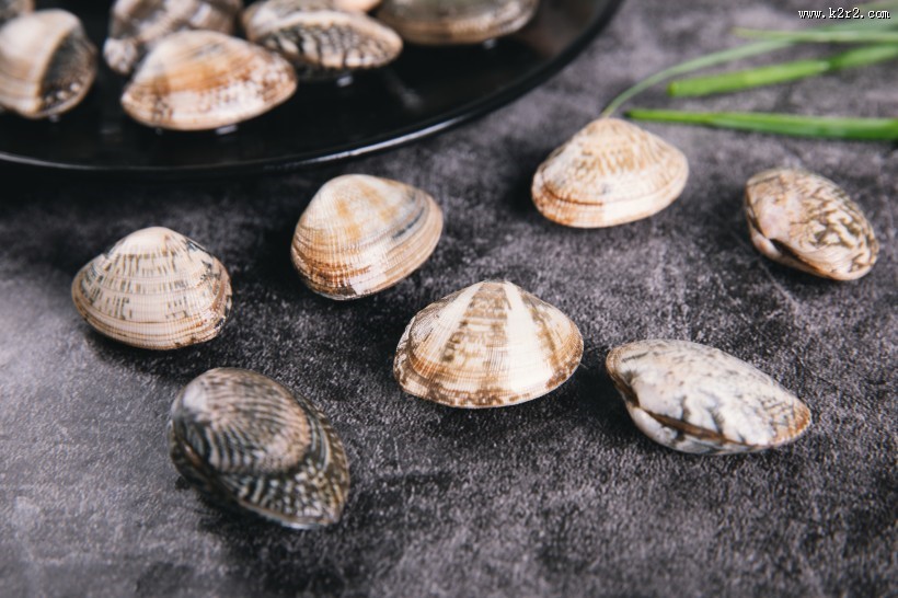 新鲜的蛤喇图片大全