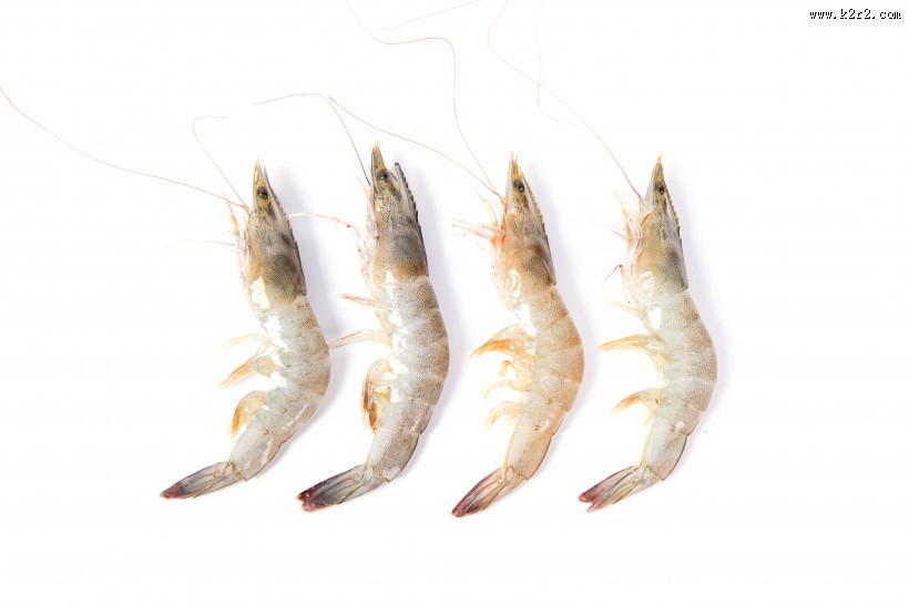 美味新鲜的基围虾图片