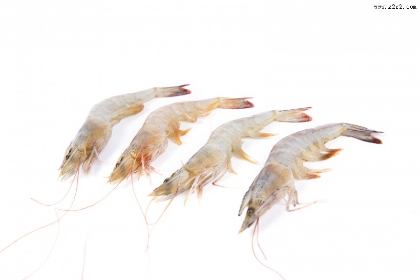 美味新鲜的基围虾图片