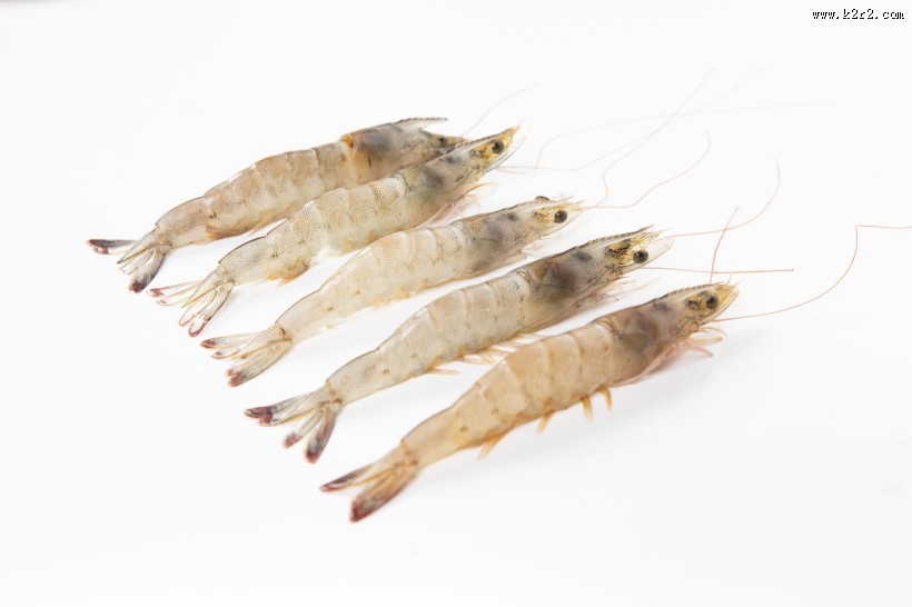 美味新鲜的基围虾图片