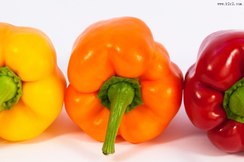 日常食用的柿子椒图片大全