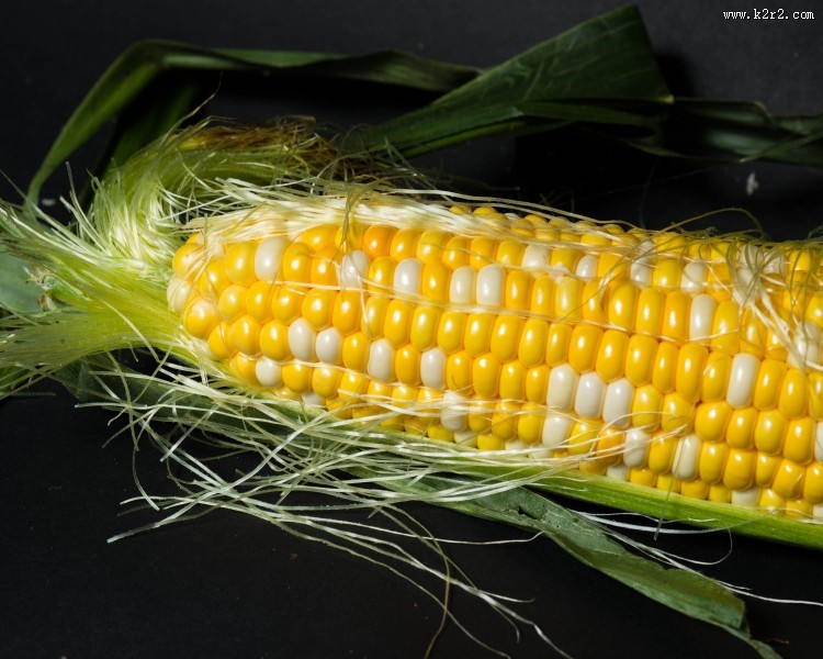 颗粒饱满的玉米图片