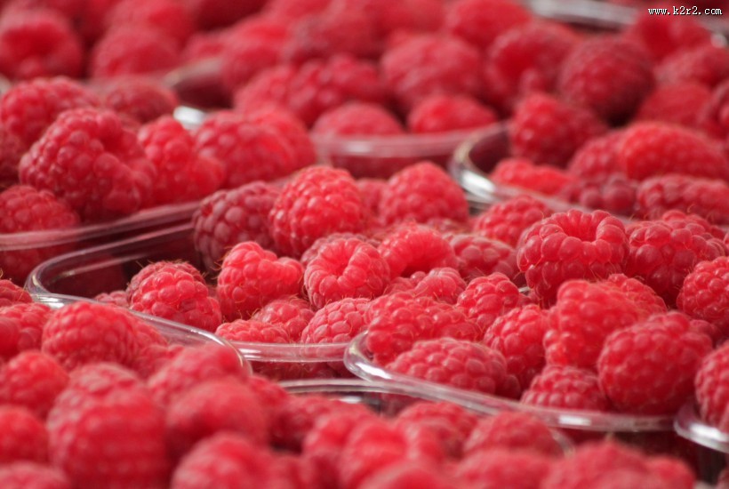 又红又甜的山莓图片