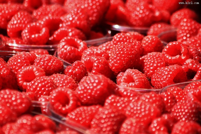 又红又甜的山莓图片