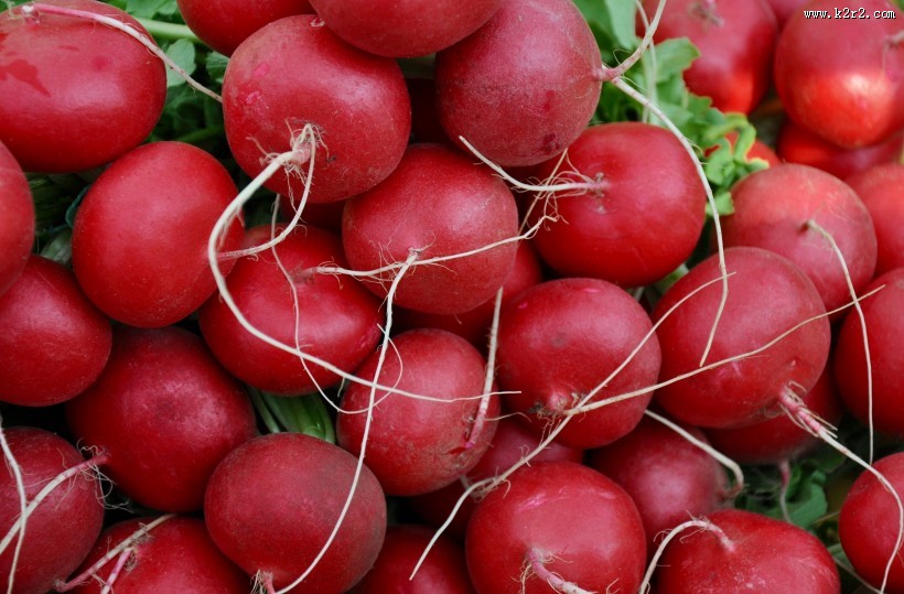 营养丰富的红萝卜图片