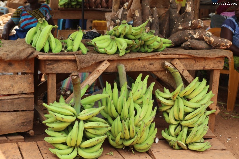 新鲜美味的香蕉图片