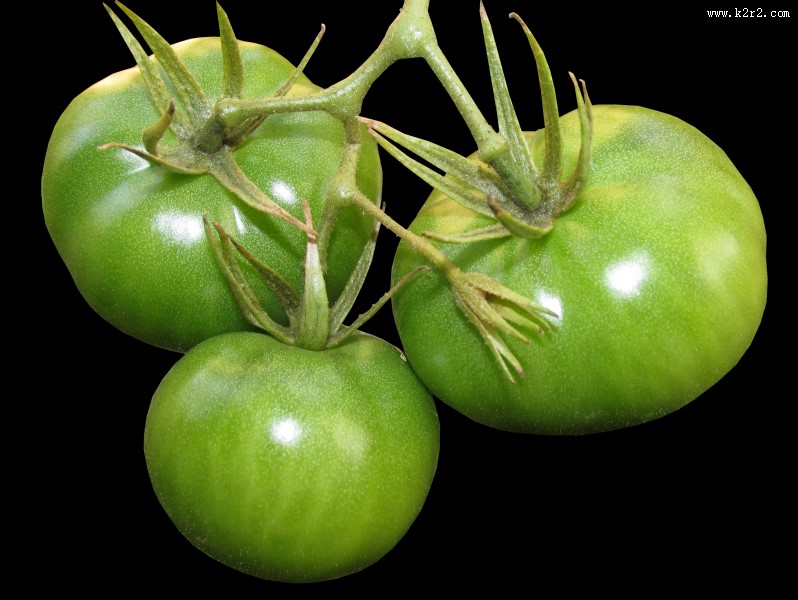 新鲜番茄图片