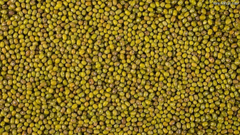 绿豆图片大全