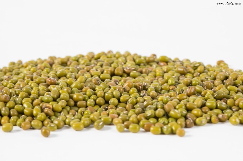 绿豆图片大全