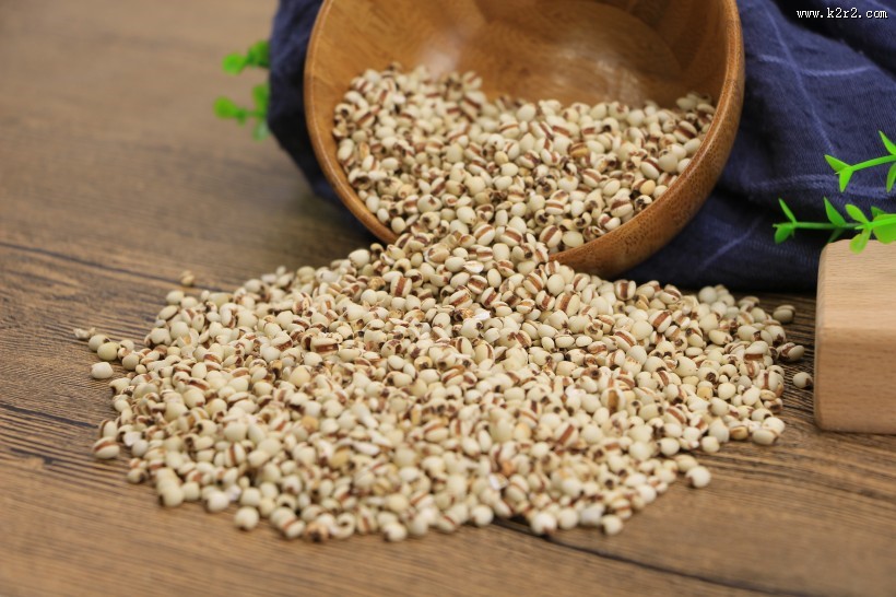 薏米薏仁图片大全