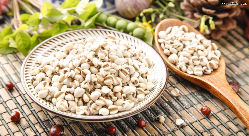 薏米薏仁图片大全