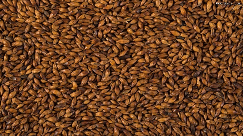 消渴除热的大麦茶图片