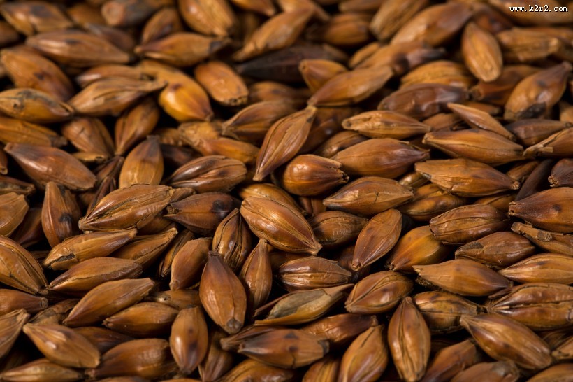 消渴除热的大麦茶图片