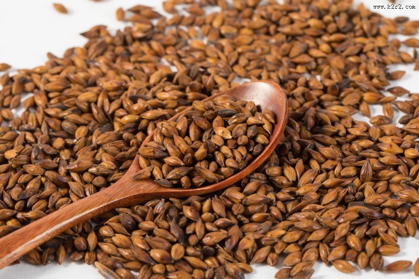 消渴除热的大麦茶图片