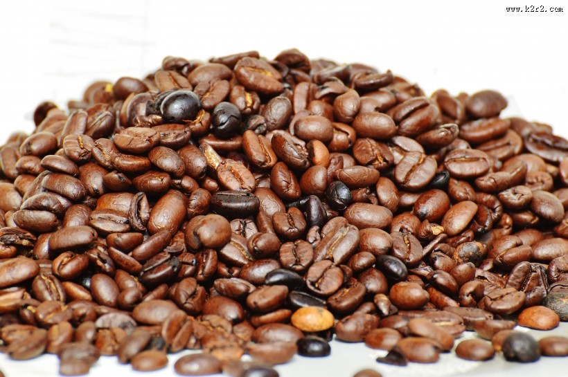 颗粒饱满的咖啡豆图片大全
